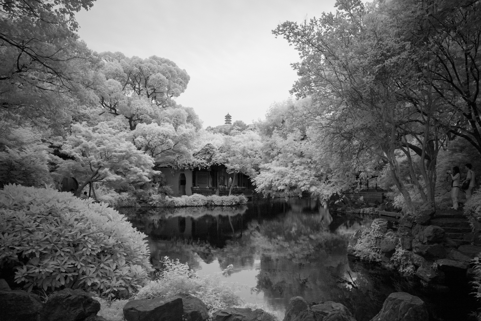 A panoramic view of the lake with both shores lined by lush trees, framing the pagoda atop the distant mountain at the center.