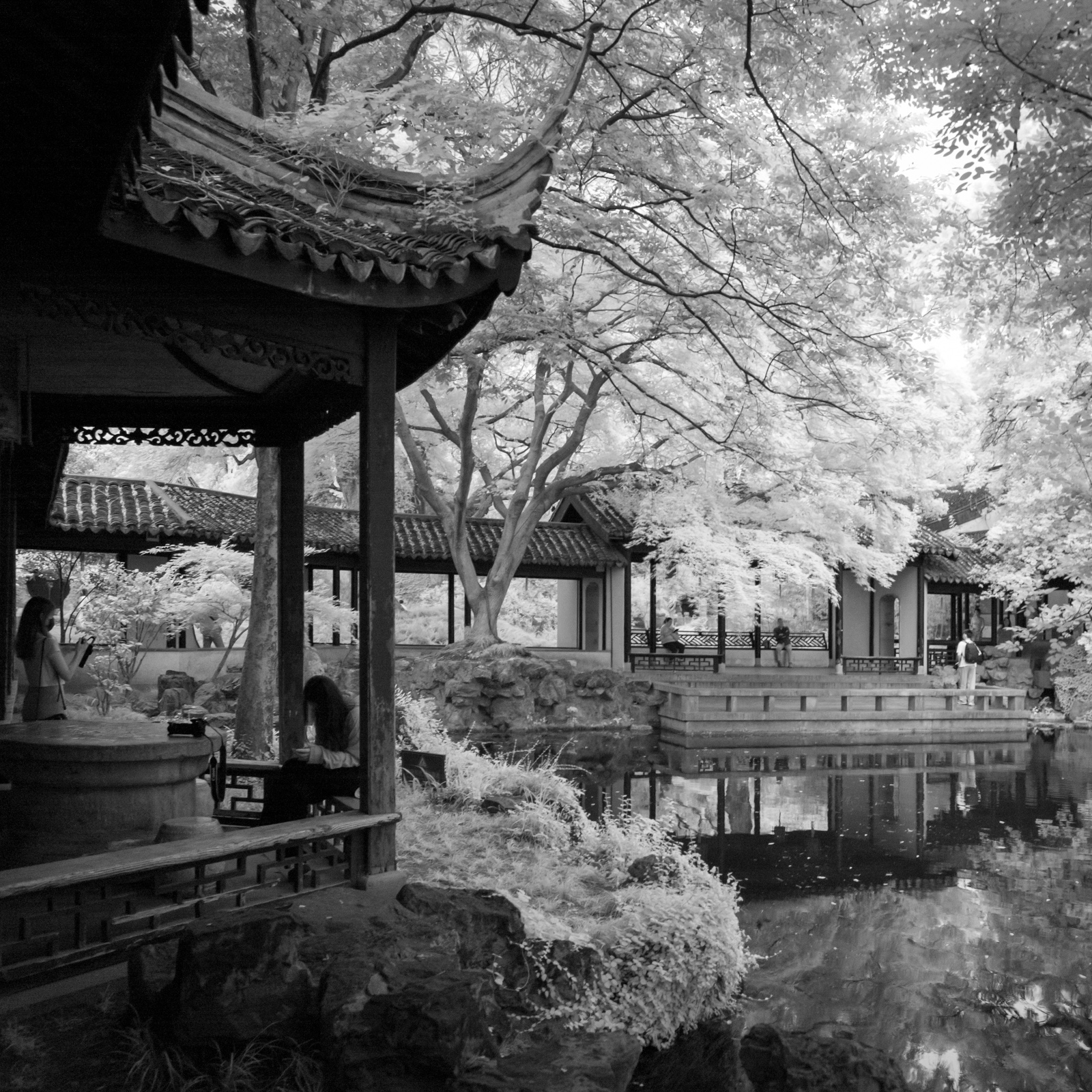 A pavilion and winding corridor curve along the lakeshore, with dense foliage covering nearly half the water surface.