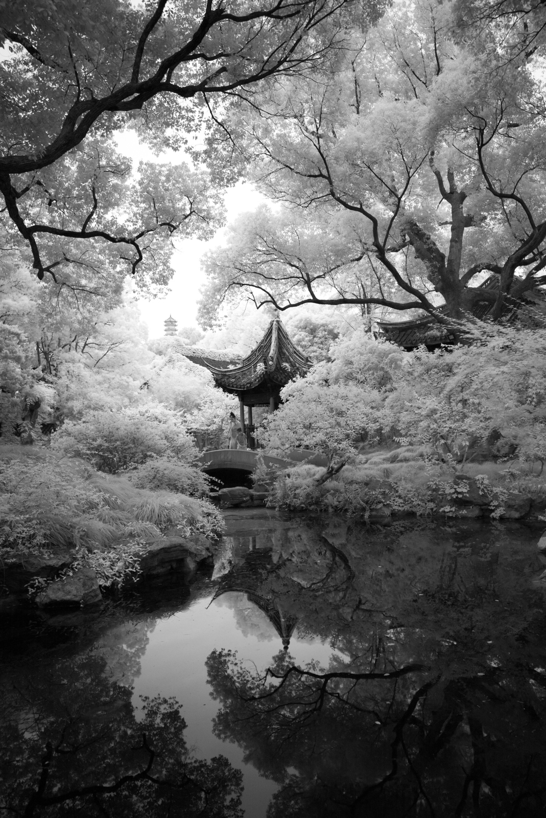 Traditional Chinese garden landscape with pavilions and ponds, Zhuozheng Garden
