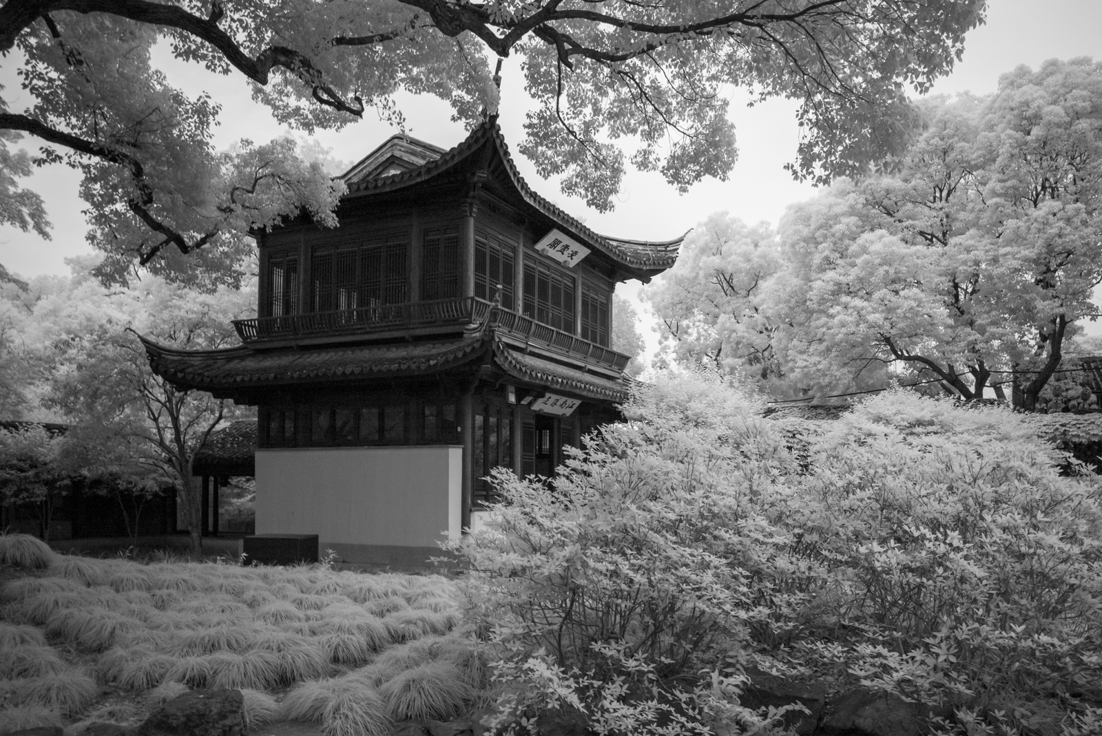 The two-story Lingyun Pavilion partially concealed amidst the foliage, emerging subtly from the verdant surroundings.
