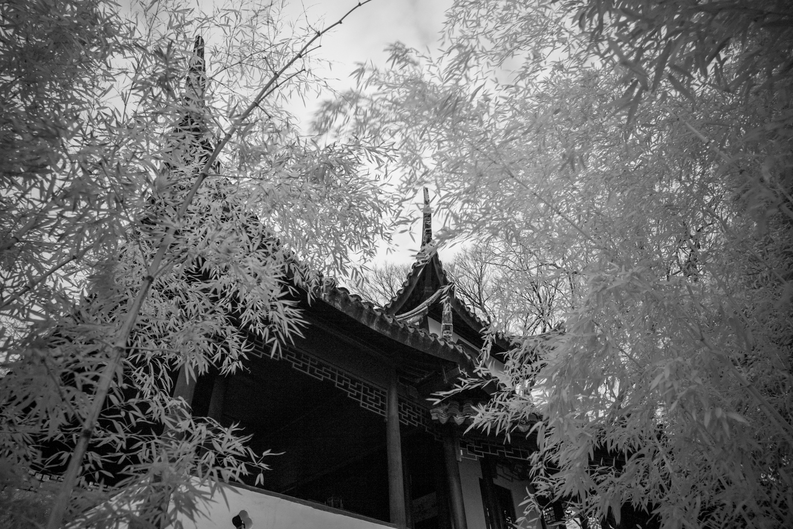 A corner of the Tower for Viewing Hills, seen from below, with a foreground of softly blurred, wind-stirred bamboo.