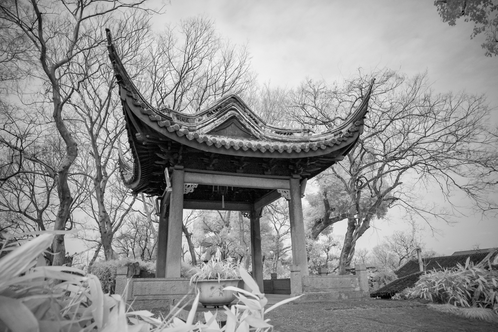 A frontal view of the Canglang Pavilion showcasing its elegant yet robust form, with gracefully upswept eaves and time-honored wooden structure that embodies classic Song Dynasty aesthetics.