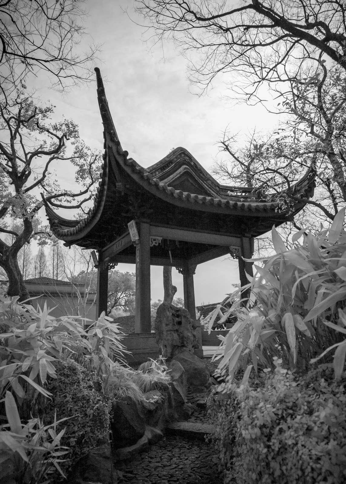 The Canglang Pavilion perched atop stone steps, forming the central focus amidst surrounding ancient trees.
