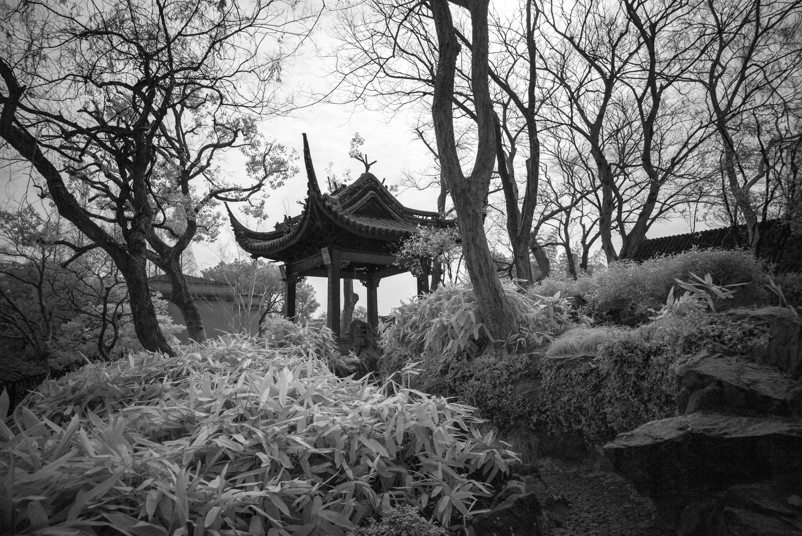 A wide shot of the Canglang Pavilion on a hill, reached by a path and surrounded by trees.