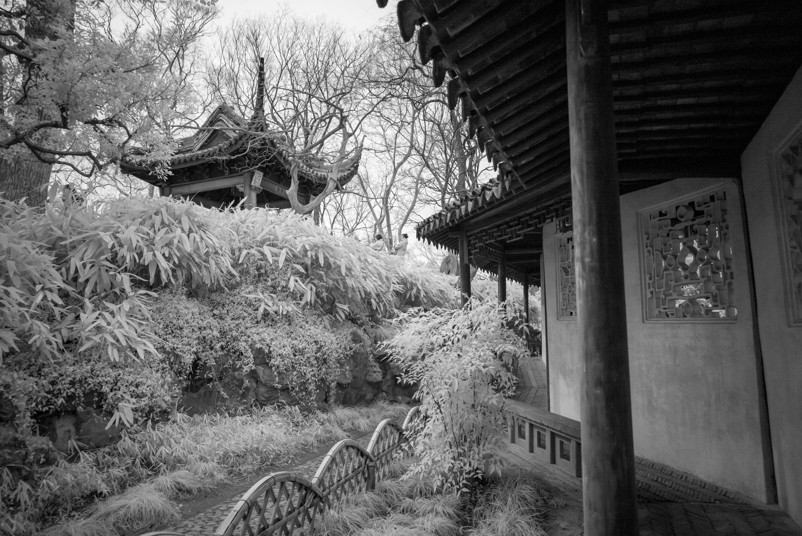 A view from inside the Double Corridor looking towards the Canglang Pavilion on its hill.