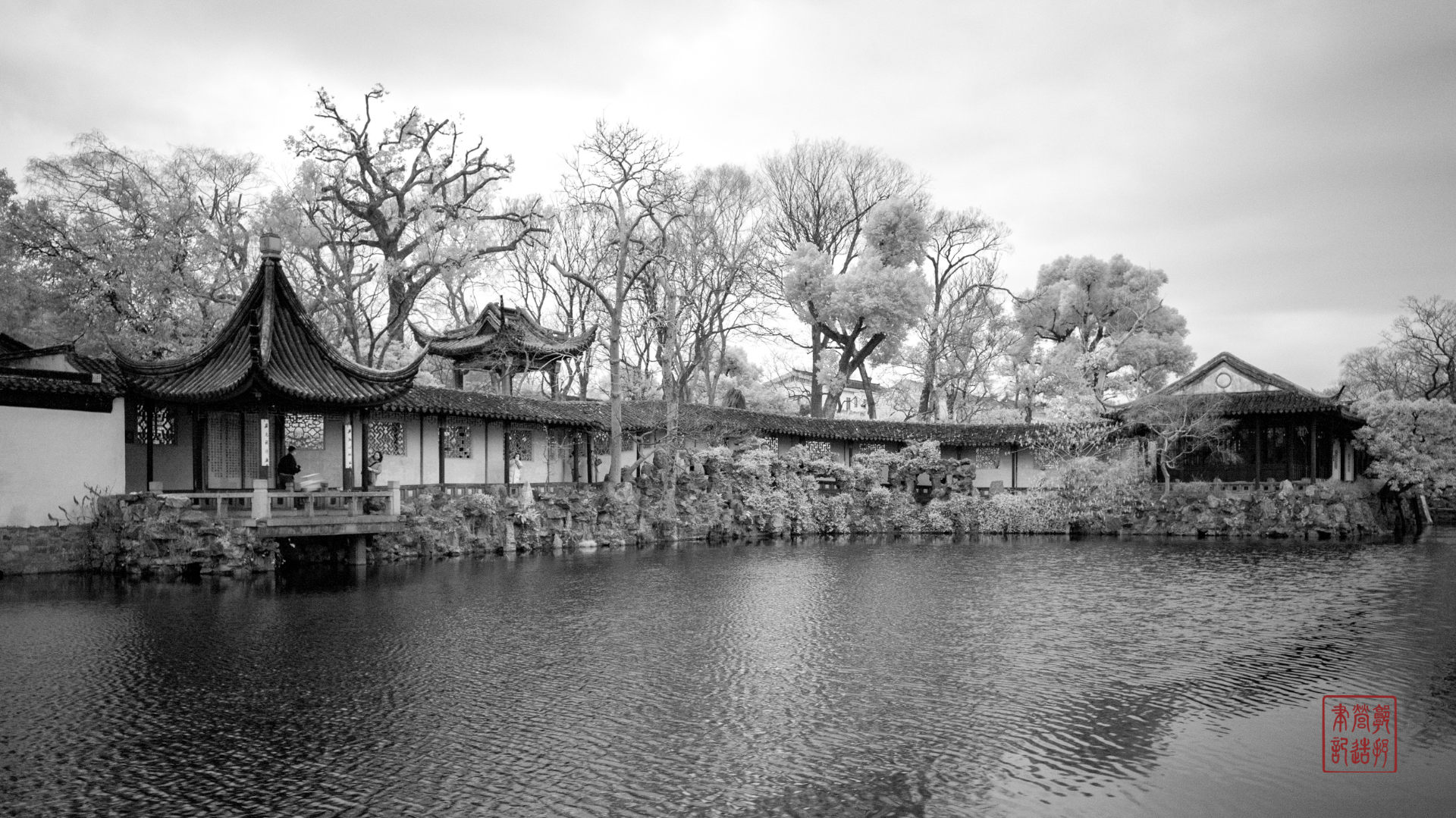 20250220-L1009422l.png