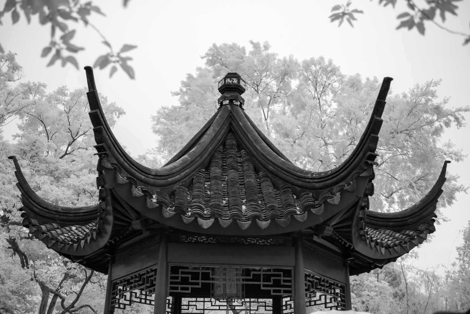 The artfully arranged rockery behind the Distant Fragrance Hall.