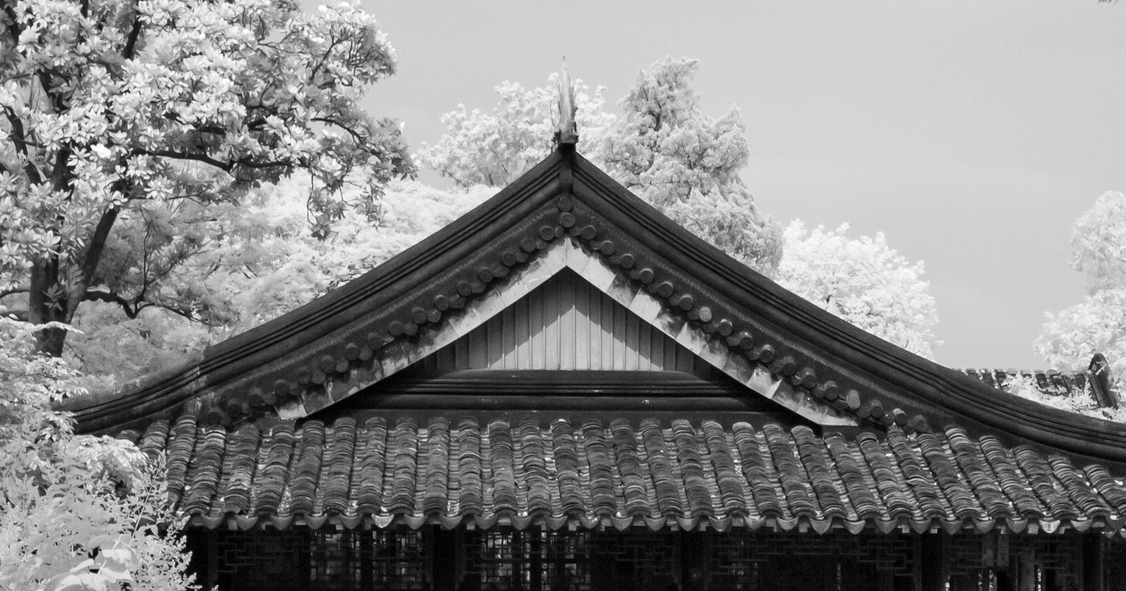 Detailed roof and gable decoration of the Distant Fragrance Hall.