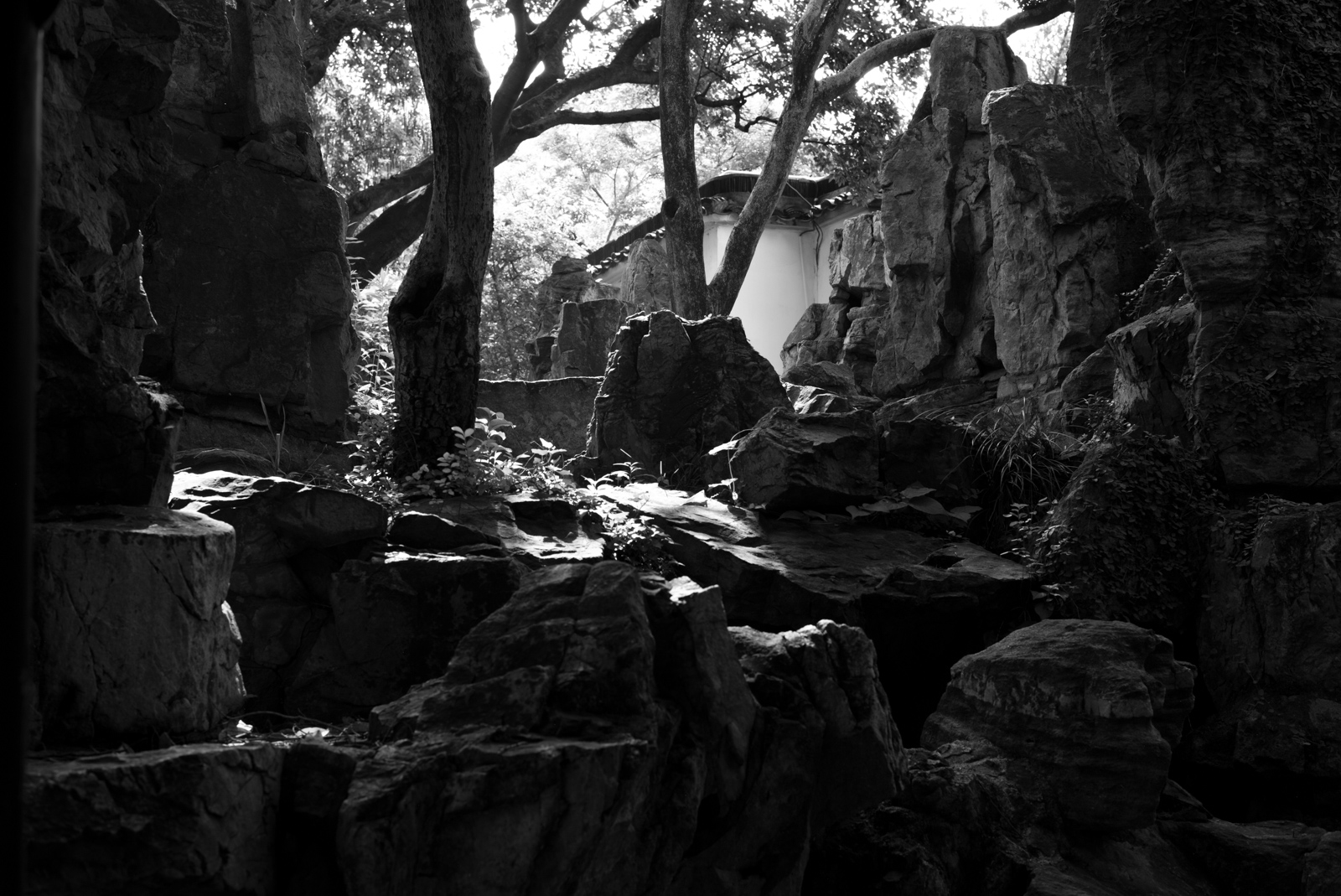 Architectural detail of the Lotus Wind from All Sides Pavilion's roof.