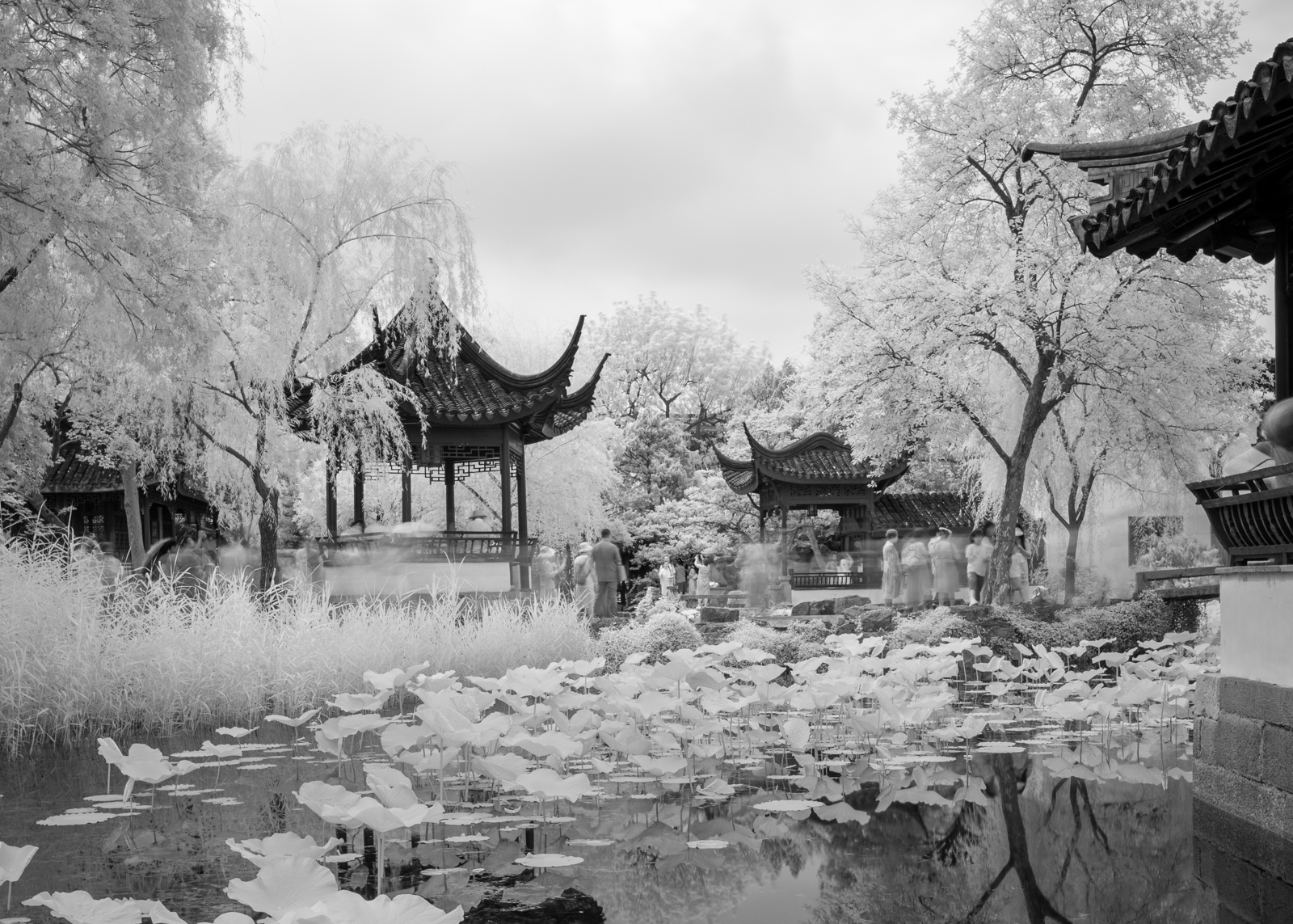 The central water landscape, connecting the garden's scenes.