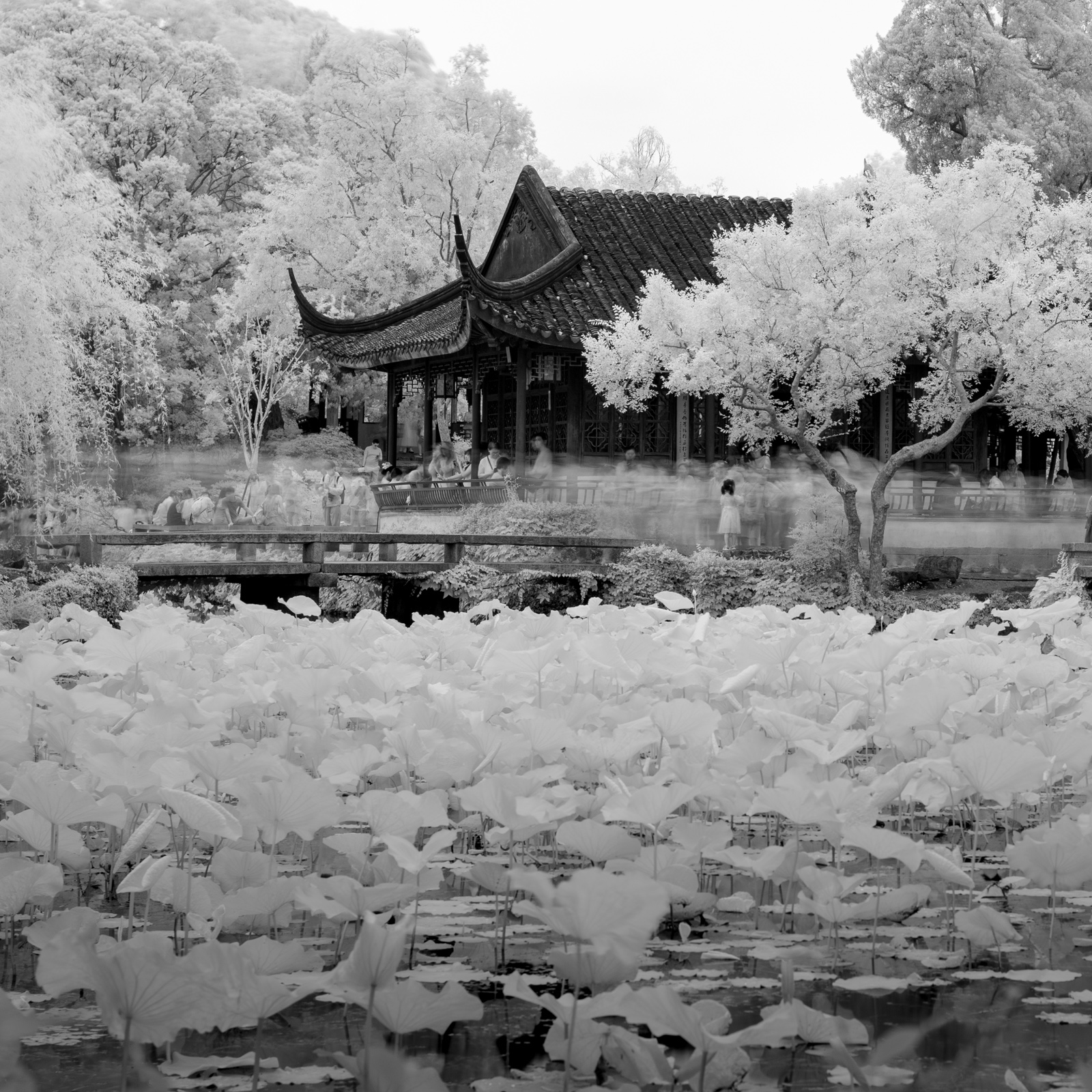 The Distant Fragrance Hall, partially veiled by lush greenery.