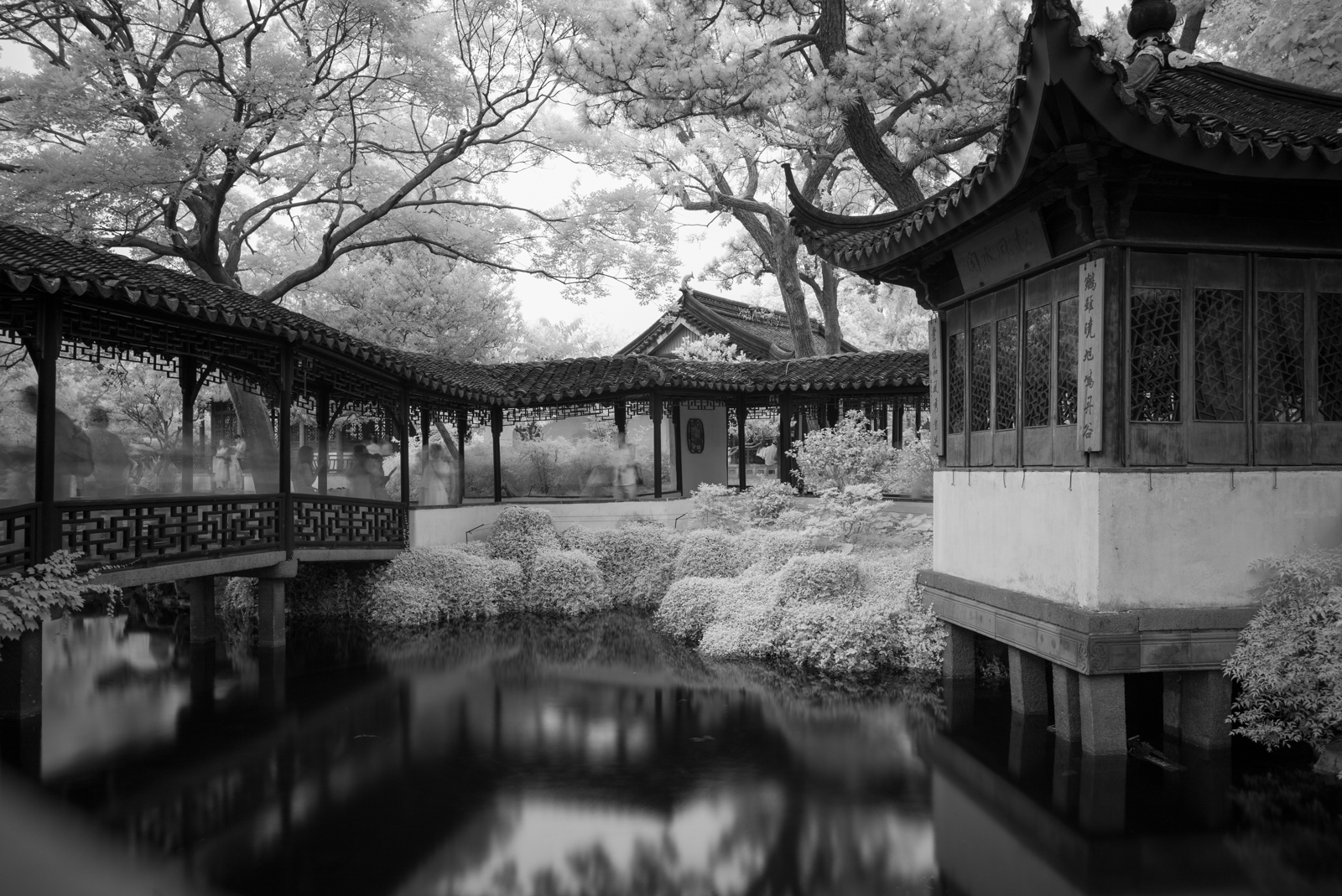 Traditional Chinese garden landscape with pavilions and ponds, Zhuozheng Garden