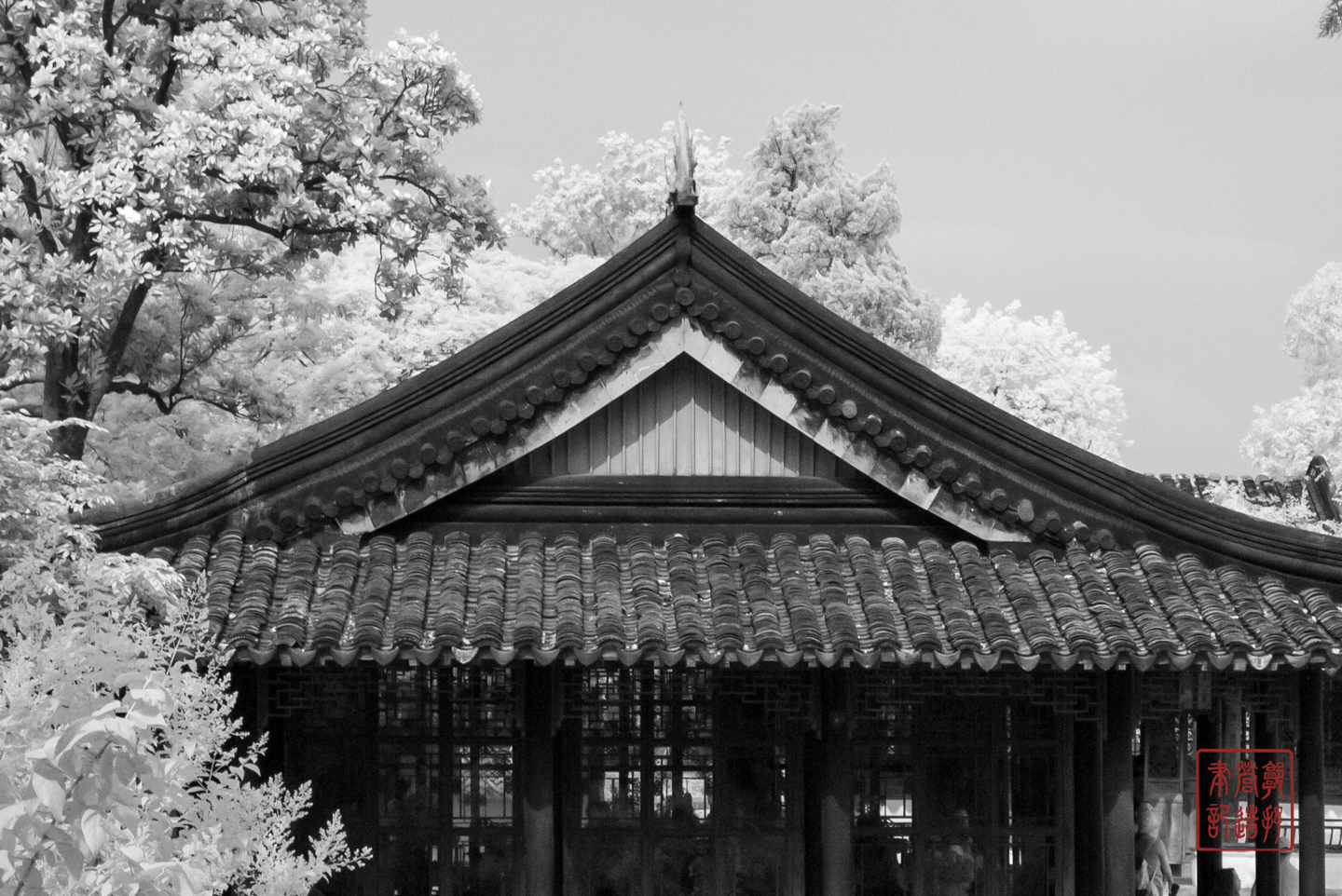 20250614-L1009880.jpg